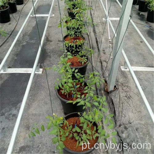 Planta frutífera pote gotejamento irrigador